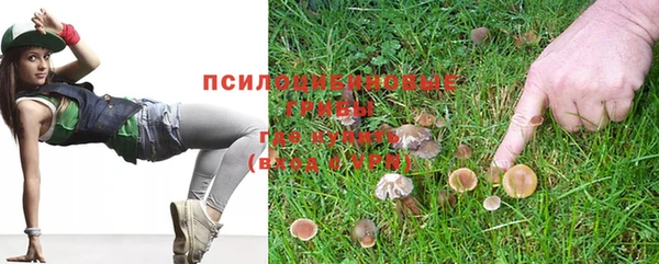 стаф Беломорск